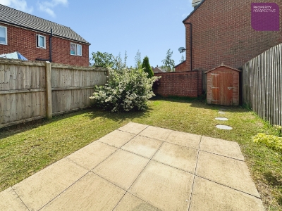 Picture 11